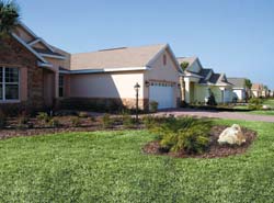 Residential homes in Ocala, Florida.