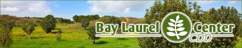 Bay Laurel Center Community Development District.